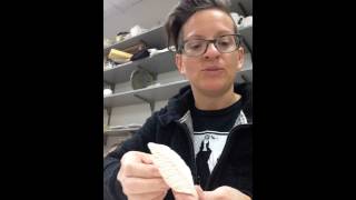 Hand-build clay leaves using press molds