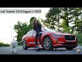 2019 Jaguar I-Pace EV400 First Edition: Andie the Lab Review