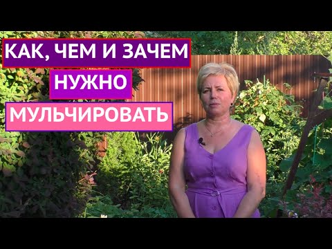 Видео: Как измеряется мульча?