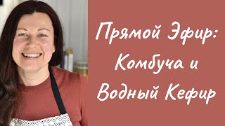 "Культурные" напитки: Комбуча и Водный Кефир