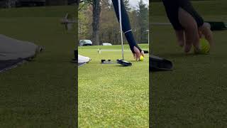 The “Putting Thing” by Why Golf is. GREAT training device 🫡🐝