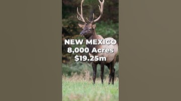 8,000 Acres of Ranch Land for Sale in NEW MEXICO with Amazing Elk Hunting near Ruidoso, NM • LANDIO