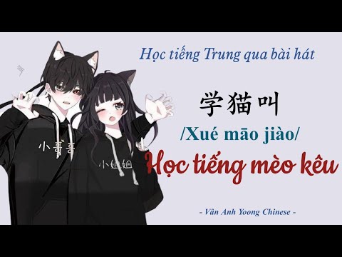 Video Học tiếng Trung qua bài hát | Học tiếng mèo kêu 学猫叫 - youtube