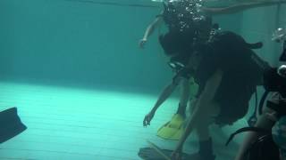 04262015 Underwater disc playing-1