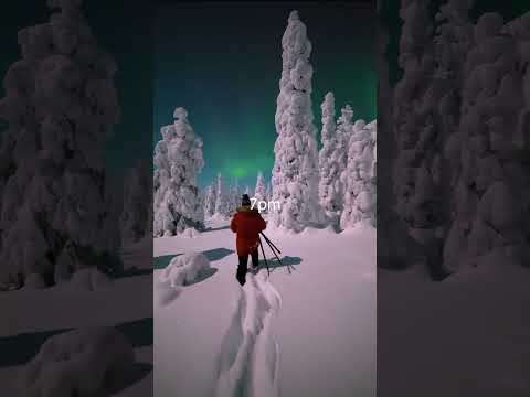 Is it just dark in Finland  in the winter #snow #winter #aurora #travel #finland #nature