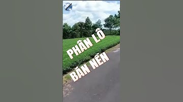 Nơi nào ở Thanh Hoá bị cấm phân lô bán nền?