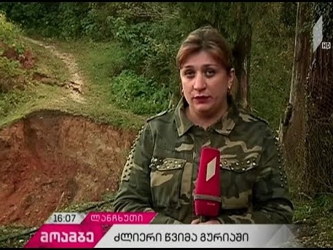 გურიის რეგიონში სახლები და ეზოები დაიტბორა