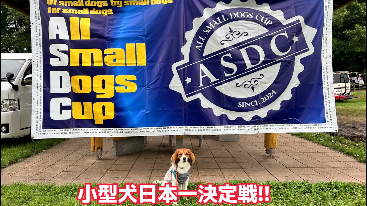 コーイケルホンディエ】ASDC2026に参加してきた - YouTube
