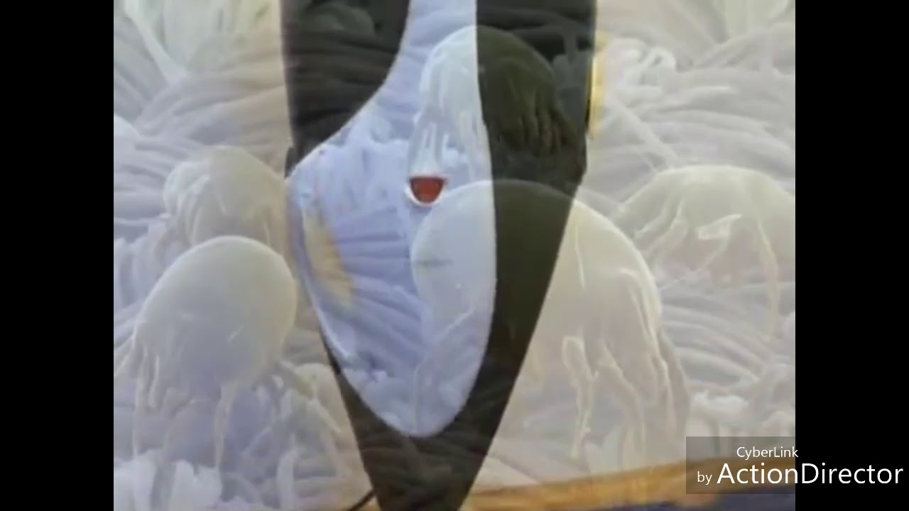 Vacuum Dry Cleaning Karpet Vorwerk Lux Kobold Vk 136