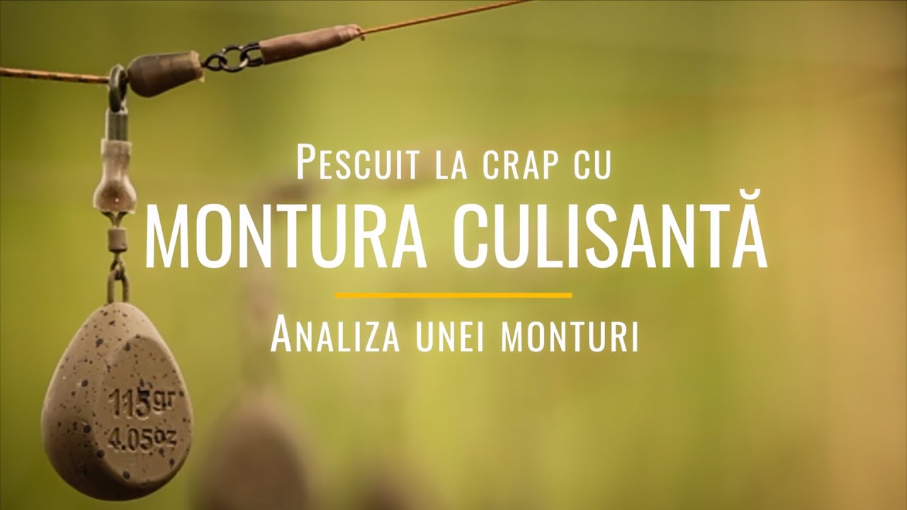 Pescuit la crap cu montura culisantă - analiza unei monturi