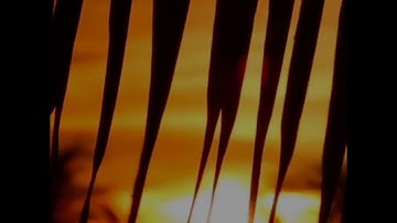 سورة يس 🌼🥺 حالات واتس اب دينية قرآن الكريم بصوت سعد الغامدي وما أرسلنـك إلا رحمة للعـٰلمين