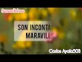 pista son incontables Maravillas con letras- Agustín Amador