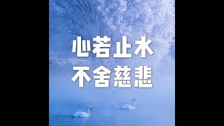 201704 心若止水 不舍慈悲22440