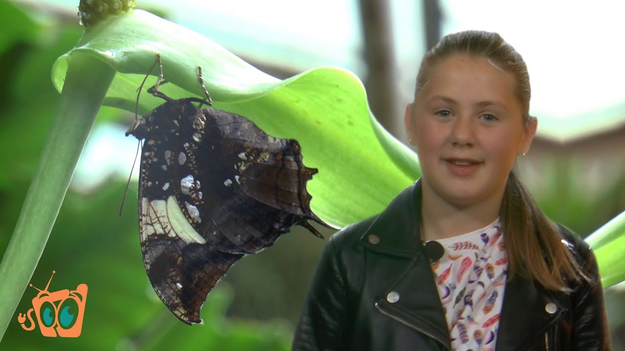 Správy 24. (29. 9. 2017)