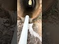 jbl essential filp2 drop water 💦 testing