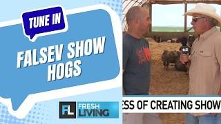Falsev Show Hogs are Bringing Excellence to Utah