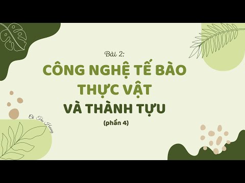 Video Bài 2. Công nghệ tế bào thực vật và thành tựu (P4) -... - youtube