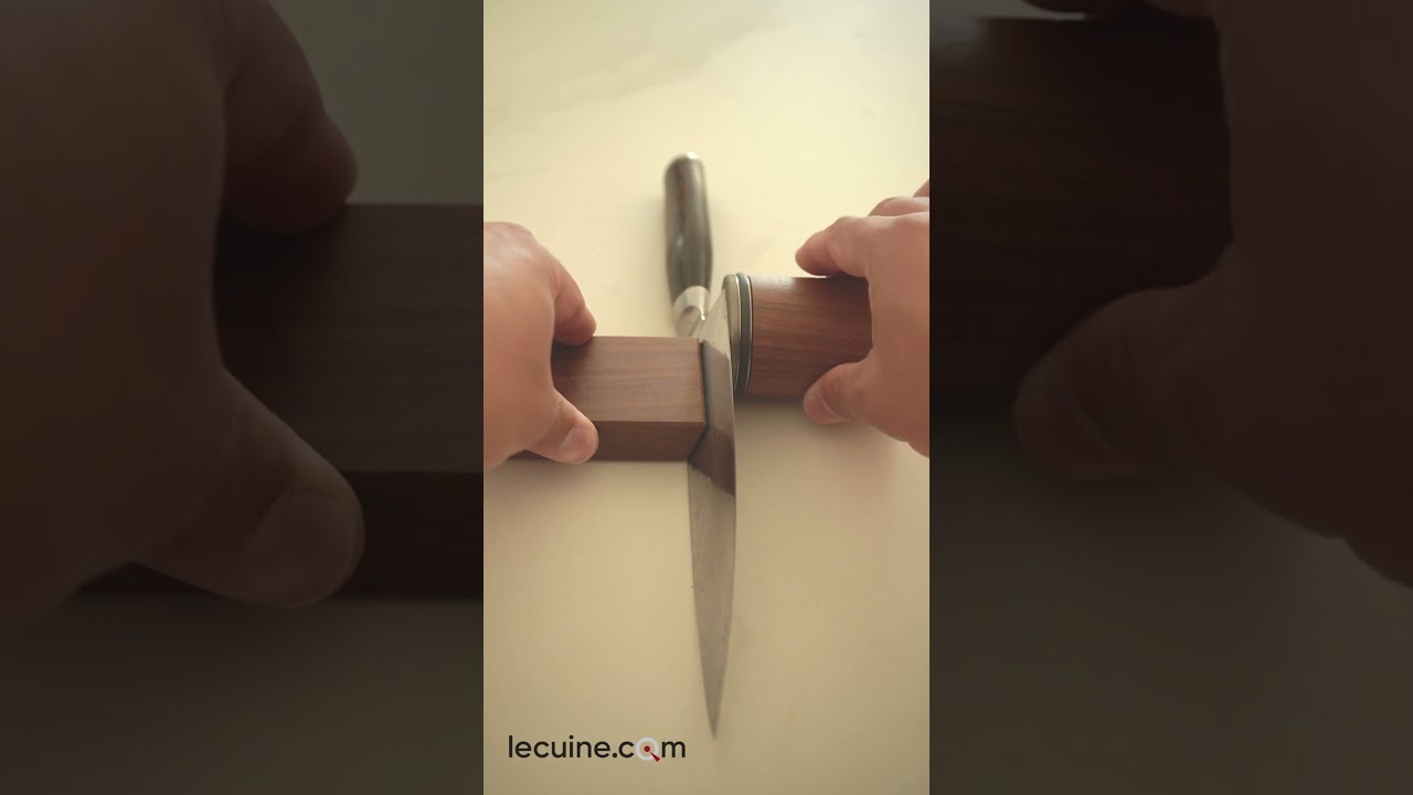HORL® 2 Pro afilador de cuchillos para profesionales