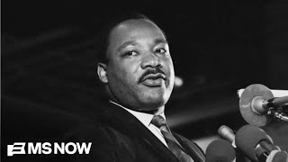 Rev. Sharpton Mlk Day Is Call To Protect Our Hard-Fought Freedoms Before Its Too Late