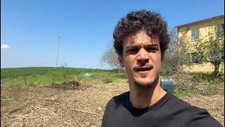 Extreme Cleanup - Turning My Abandoned Yard into a Food Forest