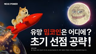 멕더쿠 인사이트ㅣ만원으로 수십억을?! 밈코인으로 대박난 사람들!