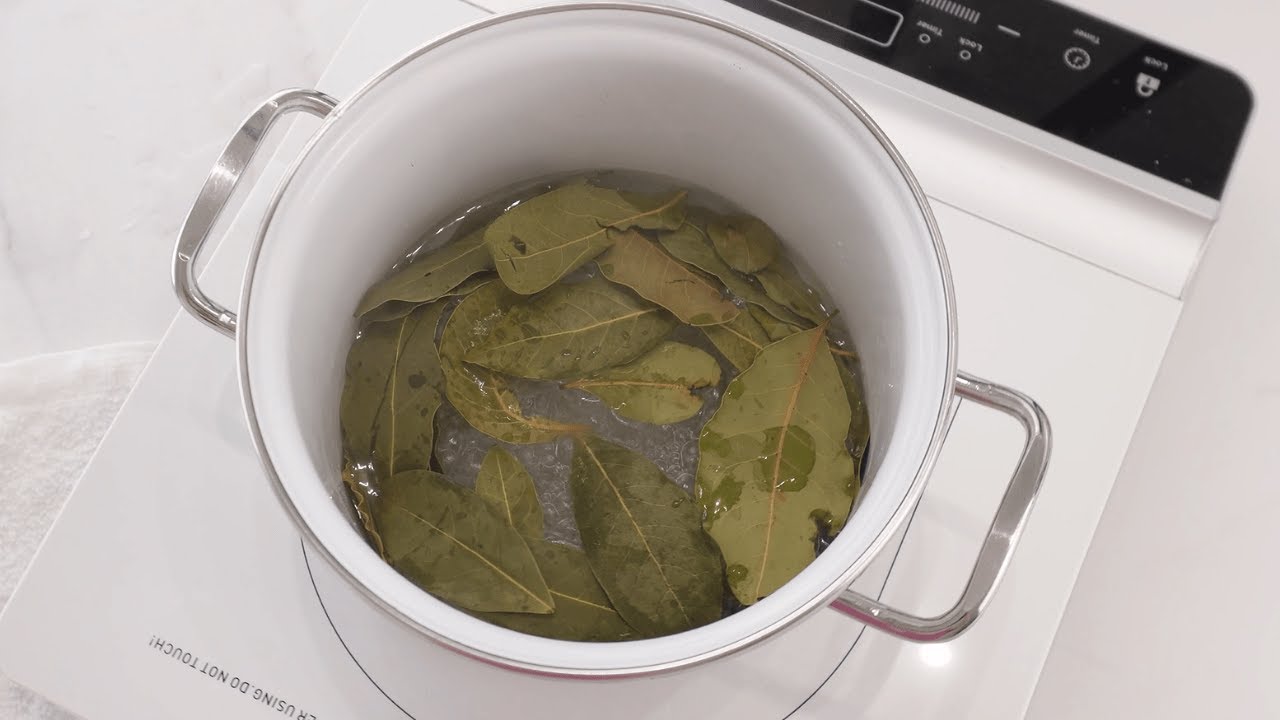 Gärtner HASSEN diesen Trick! Lorbeerblätter kochen und Pflanzen werden KRANKHEITSFREI!