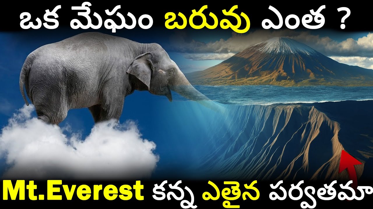 Top 3 Interesting facts by Wisdom wave in telugu 