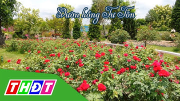 Quảng bá Du lịch Đồng Tháp | Vườn hồng Tư Tôn - TP. Sa Đéc | THDT