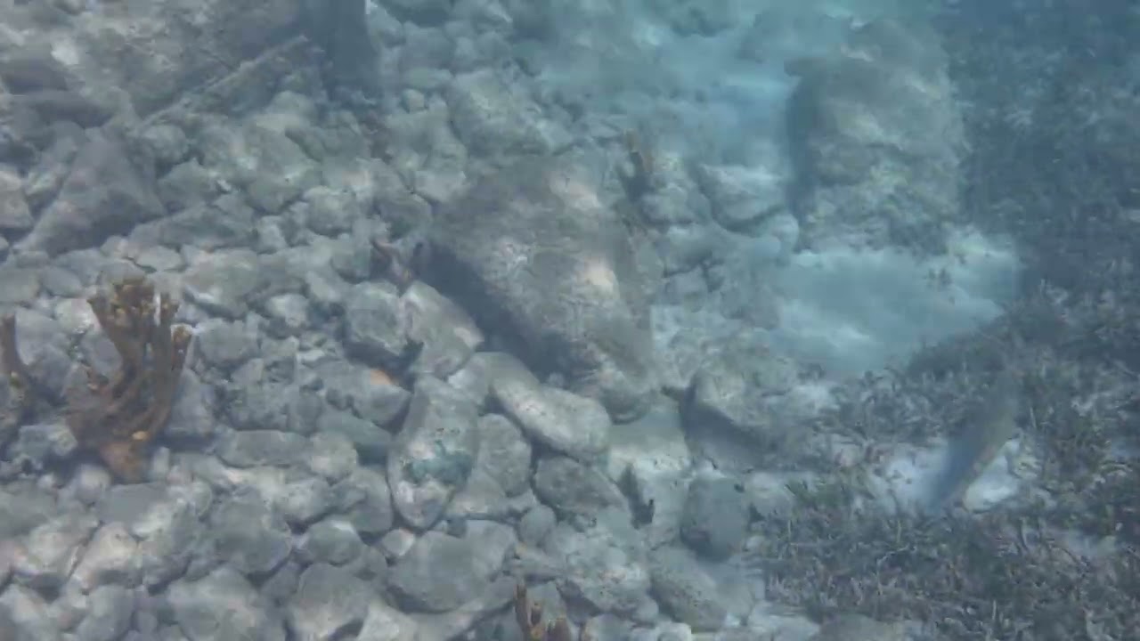 9 февраля 2026 г.