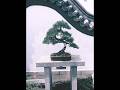 Planétarium🪐&amp; Jardin Botanique🪴#fypシ゚viral #deux #sorties #capcut