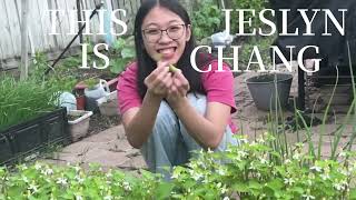 Jeslyn Chang Alliant Scholarship Video