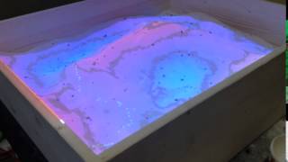 Topographical Mapping with Traveling Ants (4)