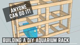 Building a DIY Aquarium Rack from Scratch - The King of DIY Method