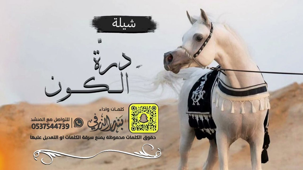 اقبلت درة الكون الفريدة | كلمات واداء بندر الذرفي حصرياً 2024