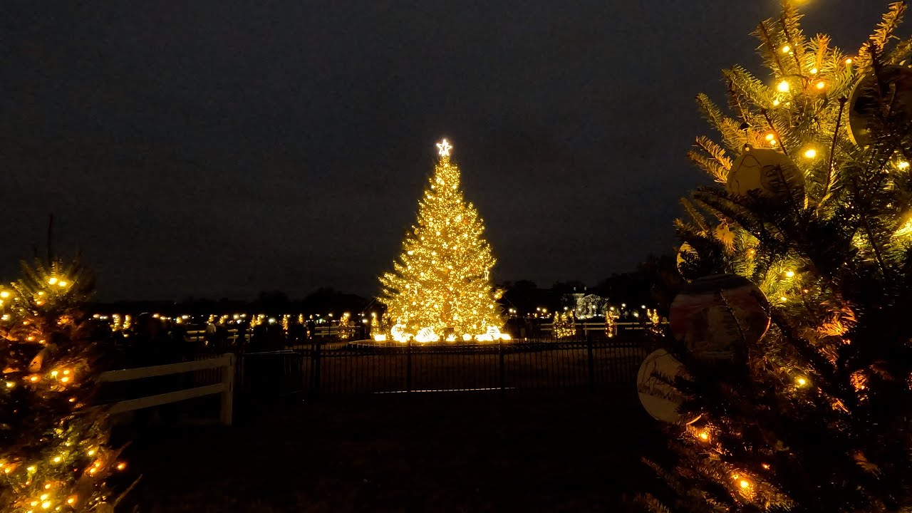 National Christmas Tree, 2025, Washington, D.C.