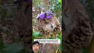 #wildlife #wildliferescue #monkeysr #pets #babymo #cute #animals #respect #rescue #cat #funny #love