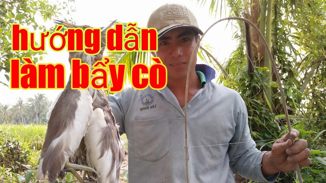 Hướng dẫn làm bẩy cò- tập-1 và thăm bẩy cò chúng mánh
