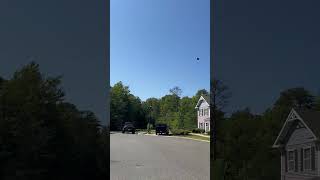 IMG 1865