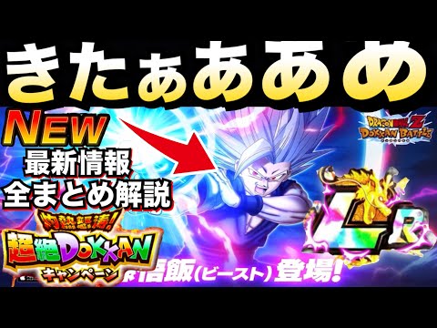 二極を超えた重力 遂にあのキャラ極限！！超絶ドッカンLRキャラ『孫悟飯ビースト』性能