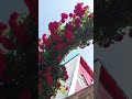 20 March 2026 