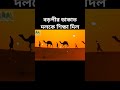 বড়পীর ও ডাকাত #shortsfeed #shorts #viral