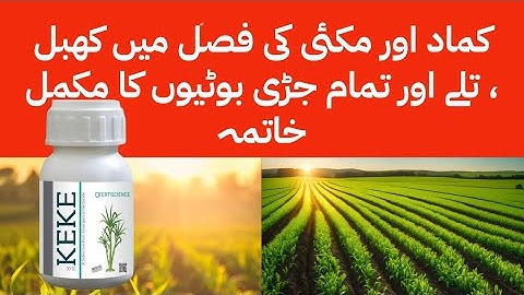 KEKE Herbicide for Sugarcane and maize crop | topramezone for all weeds | Kissan Ghar | Fertiscience