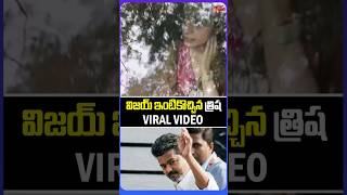 video-gossip-img
