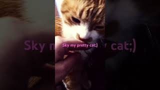 Cat sky;)