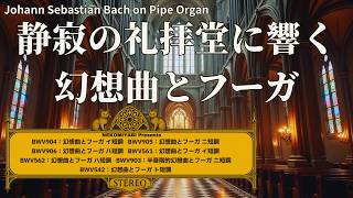 静寂の礼拝堂に響く 幻想曲とフーガ｜バッハの精神世界を巡る7つの旅