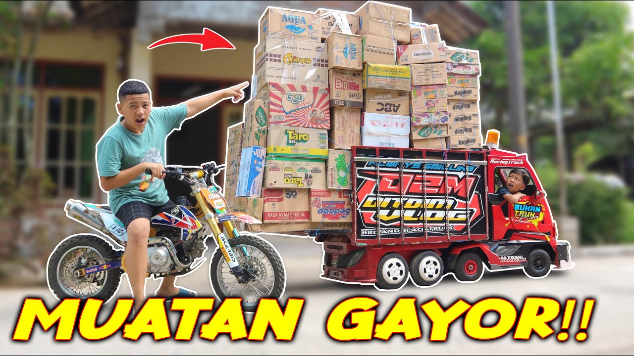 DITDIM GABUT MAIN KARDUS!!