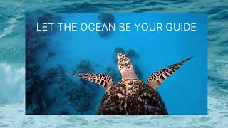 oceania #ocean #oceania - Travel Video