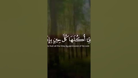 القارئ اسلام صبحي ، تلاوة من سورة ابراهيم