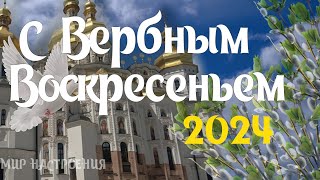 ПОЗДРАВИТЬ С ВЕРБНЫМ ВОСКРЕСЕНЬЕМ 2024 от души родных и друзей 🌿 видео с вербным воскресеньем