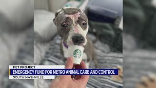 Nashville Pet Project: Emergency fund for Metro Animal Care and Control